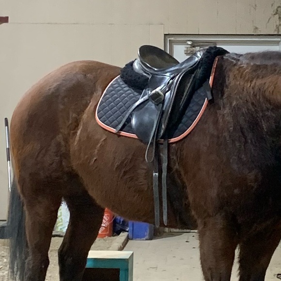 Dover All Purpose Quilted Saddle Pad - Picture 8 of 8